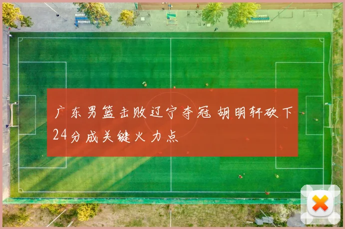 广东男篮击败辽宁夺冠 胡明轩砍下24分成关键火力点